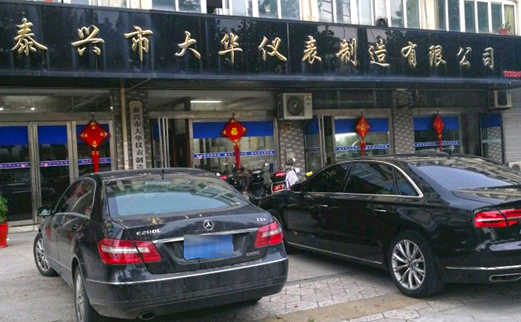 泰興市大華儀表制造有限公司